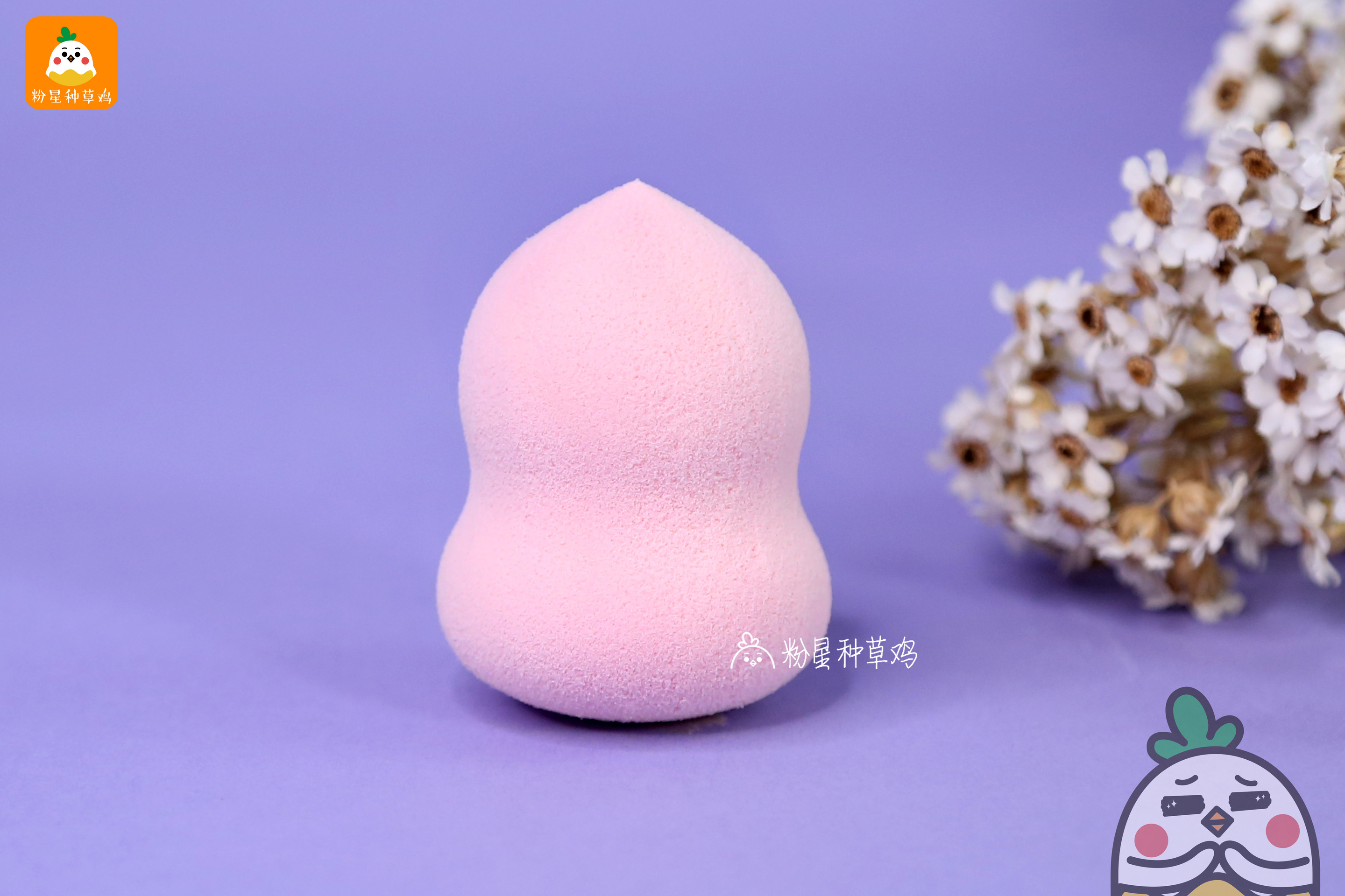 beauty blender美妝蛋和rt美妝蛋哪個(gè)好？