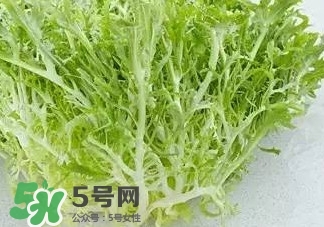 苦菊能和羊肉一起吃嗎？苦菊可以和羊肉一起吃嗎