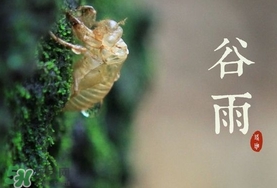 谷雨養(yǎng)生吃什么？谷雨養(yǎng)生常識(shí)