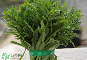 救心菜有毒嗎？救心菜怎么吃沒毒？