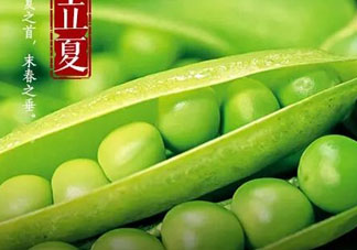 立夏吃什么好？立夏吃什么蔬菜？