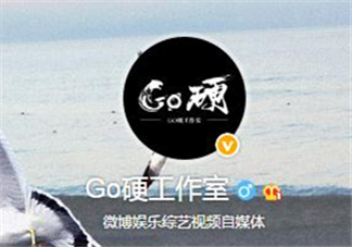 go硬工作室和卓偉有什么關(guān)系？go硬工作室是卓偉前員工成立的？