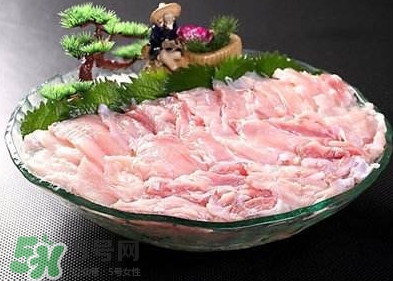 鱷魚肉是發(fā)物嗎？鱷魚肉是不是發(fā)物