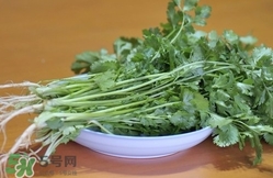 香菜是寒性食物嗎？香菜是熱性還是涼性？