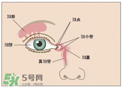 洗眼液洗出的臟東西是什么 洗眼液洗出白色絮狀物是寄生蟲嗎