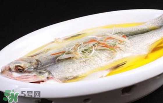 孕婦可以吃白條魚嗎？白條魚孕婦能吃嗎？