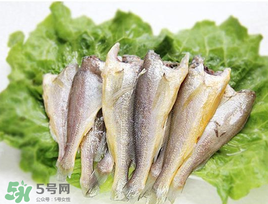 小黃魚可以養(yǎng)殖嗎？小黃魚能人工養(yǎng)殖嗎？