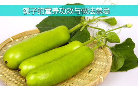 菜瓜多少錢(qián)一斤？菜瓜怎么挑？