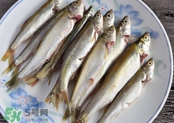 孕婦可以吃白條魚嗎？白條魚孕婦能吃嗎？