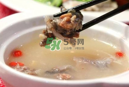 甲魚(yú)湯怎么做？甲魚(yú)湯的做法