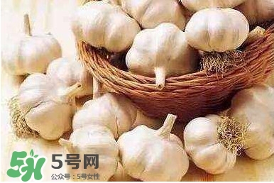 新蒜頭怎么保存不發(fā)芽？新蒜頭怎么存放