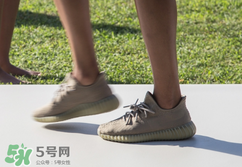 adidas yeezy 350 boost v2 dark green椰子350大地綠多少錢？