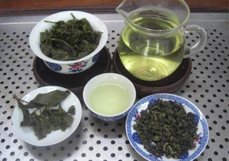 杜仲茶哪些人不適宜喝？杜仲茶飲用注意事項(xiàng)