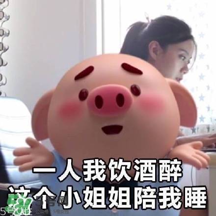 豬小屁多少錢一個？豬小屁哪里可以買到