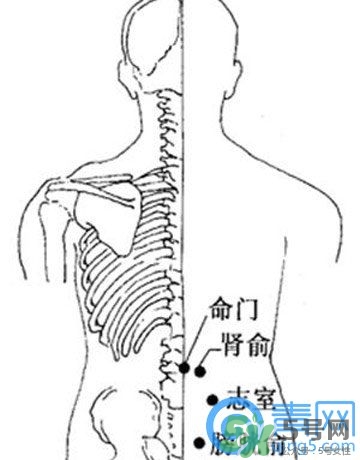 三伏灸可以治腰腿痛嗎？三伏灸治腰腿痛灸哪里》