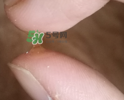 SKINCEUTICALS修麗可夜間精華怎么樣_好用嗎？