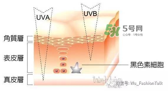 夏天室內(nèi)要涂防曬霜嗎 在室內(nèi)有必要擦防曬霜嗎