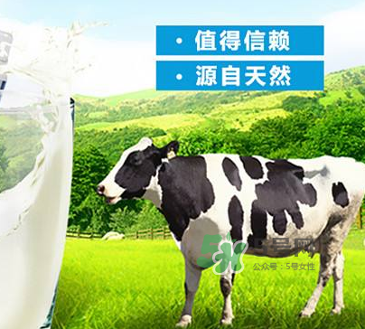 牛初乳是奶粉嗎？牛初乳跟奶粉的區(qū)別