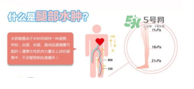 爽健qtto睡眠瘦腿襪真假 qtto睡眠瘦腿襪真假辨別