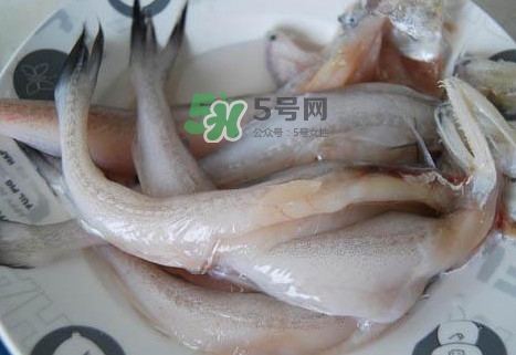 龍頭魚怎么殺？龍頭魚怎么處理？