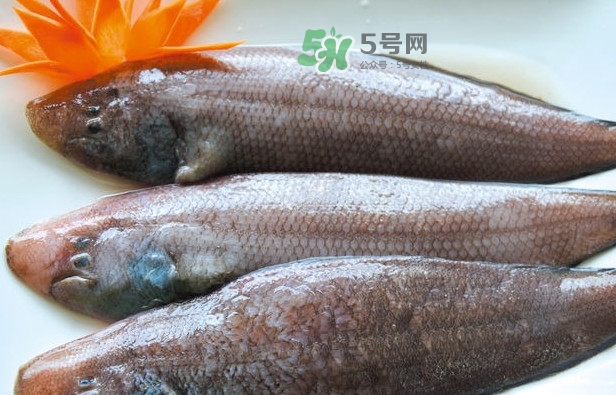 龍利魚怎么做給寶寶吃？龍利魚怎么處理