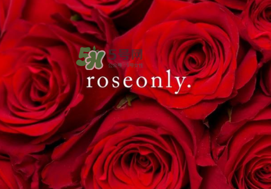 2017七夕禮盒roseonly多少錢？roseonly巨型玫瑰禮盒多少錢？