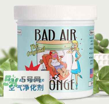 Bad Air空氣凈化膏介紹  Bad Air空氣凈化膏原理