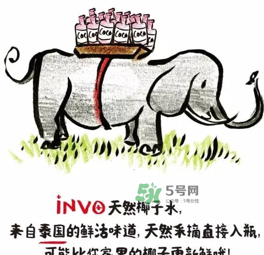 invo椰子水多少錢？invo椰子水好喝嗎？