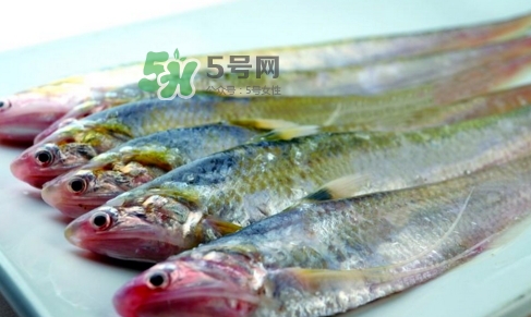 刁子魚是秋刀魚嗎？刁子魚是海魚嗎？