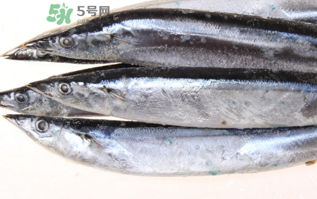 秋刀魚是海魚嗎？秋刀魚是淡水魚還是海魚