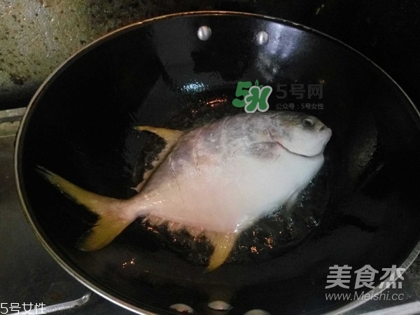 金鯧魚是海魚嗎？金鯧魚的刺多嗎？