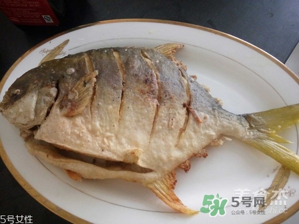 金鯧魚是海魚嗎？金鯧魚的刺多嗎？