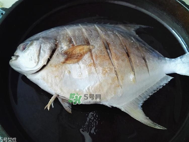 金鯧魚的營(yíng)養(yǎng)價(jià)值 金鯧魚的功效作用