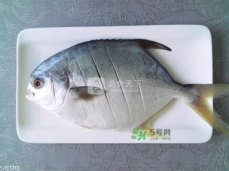 金鯧魚的營(yíng)養(yǎng)價(jià)值 金鯧魚的功效作用