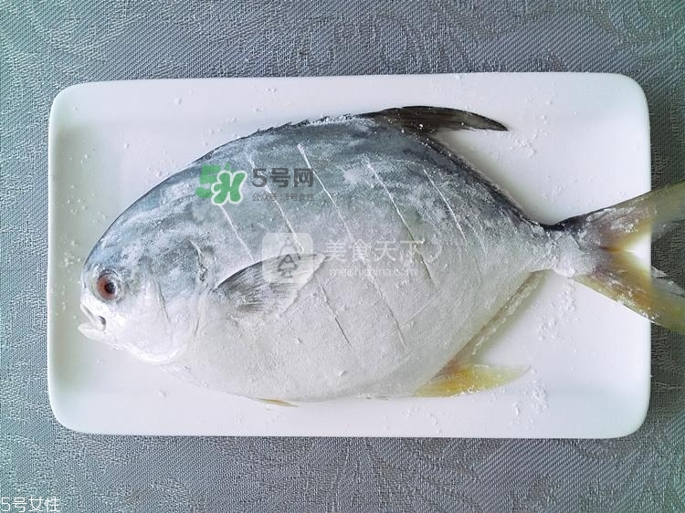 金鯧魚的營(yíng)養(yǎng)價(jià)值 金鯧魚的功效作用