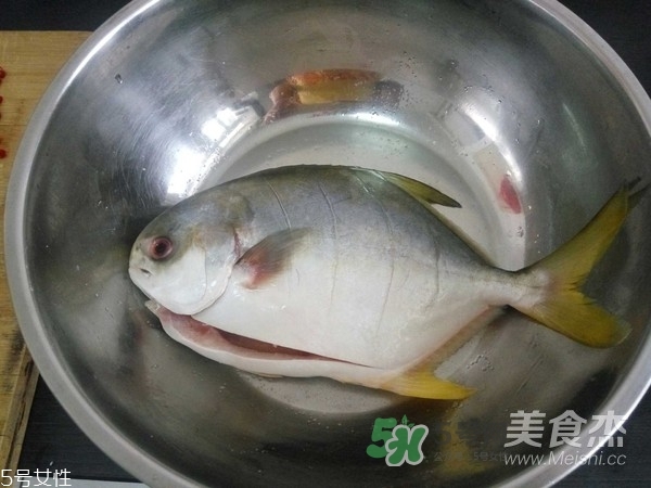 金鯧魚是海魚嗎？金鯧魚的刺多嗎？