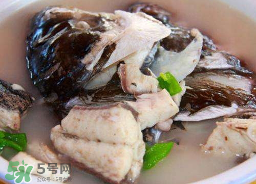 鰱魚湯怎么熬湯？鰱魚湯的功效與作用