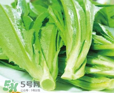 萵苣葉能吃嗎？萵苣葉和油麥菜有什么區(qū)別