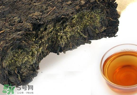 茯茶是熱性還是涼性？茯茶是不是放越久越好？