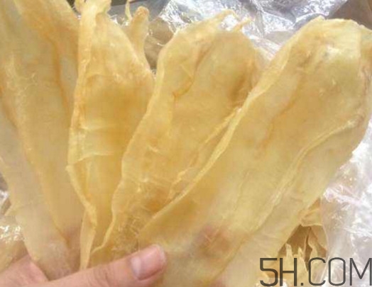 魚膠和花膠有什么區(qū)別？魚膠是魚的哪個(gè)部位