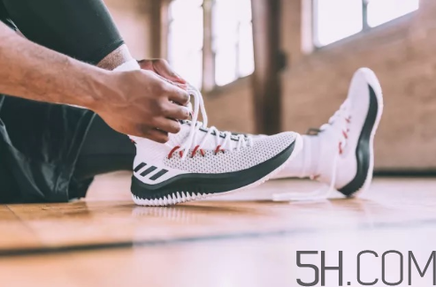 adidas dame 4多少錢？阿迪達(dá)斯利拉德四代上腳效果