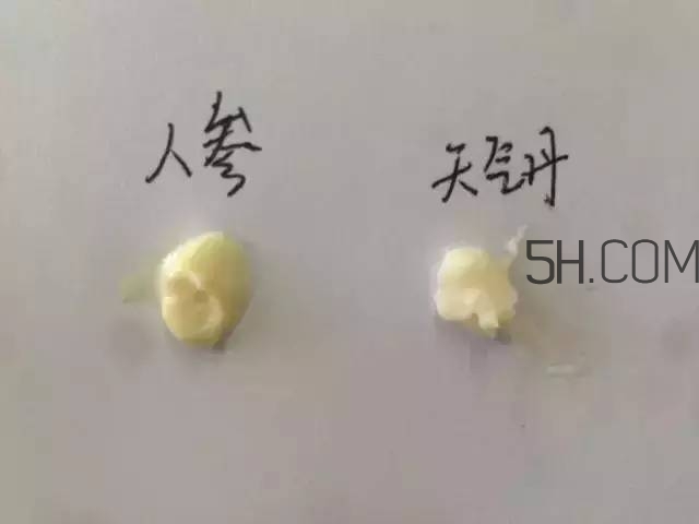 雪花秀人參面霜和whoo后天氣丹面霜哪個好?