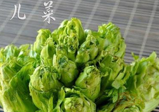 青菜頭是不是兒菜？大頭菜和兒菜的區(qū)別