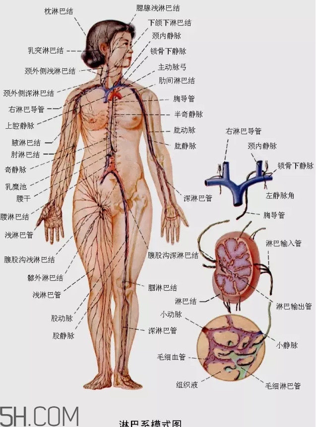 淋巴癌最嚴重時會成什么樣子？淋巴瘤能治好嗎