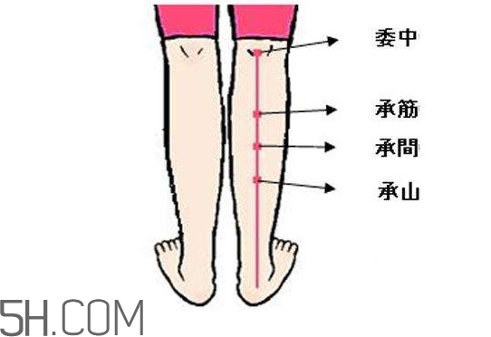 小腿抽筋可以跑步嗎？小腿抽筋可以拔火罐嗎