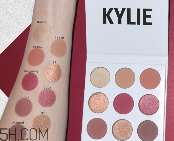 kylie the burgundy9色眼影盤(pán)色號(hào)_試色圖