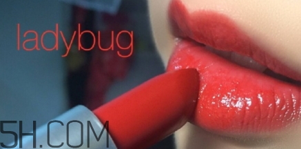 mac lady bug掉色嗎？mac ladybug真假辨別