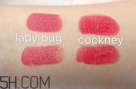 mac ladybug和chili哪個好看_試色對比