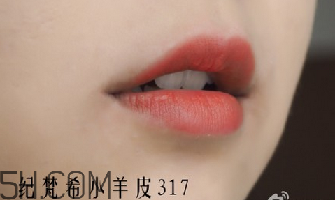 紀(jì)梵希304是西柚色嗎？紀(jì)梵希小羊皮304和317哪個好看？