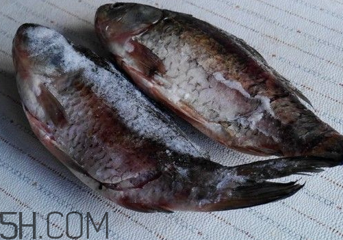 鯽魚(yú)冷凍后還有營(yíng)養(yǎng)嗎 鯽魚(yú)冷藏還是冷凍